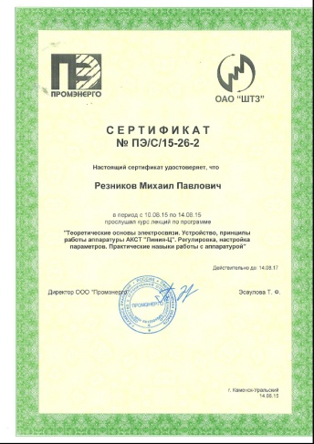 сертификат резников.jpg