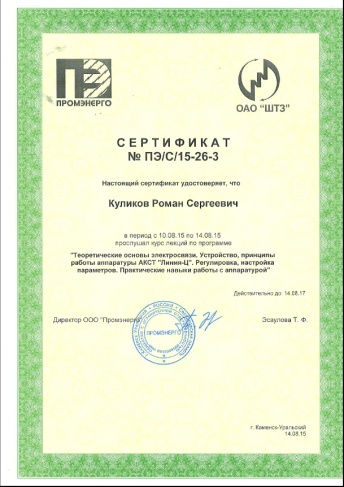 сертификат куликов.jpg